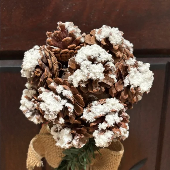 Rustic Pinecone and Burlap Holiday Decor - Picture 5 of 9